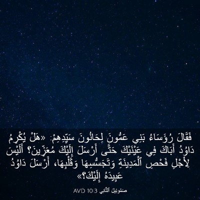 Picture 03 - صَمُوئِيلَ ٱلثَّانِي 10:3 AVD - فَقَالَ رُؤَسَاءُ بَنِي - Bible Verse Picture