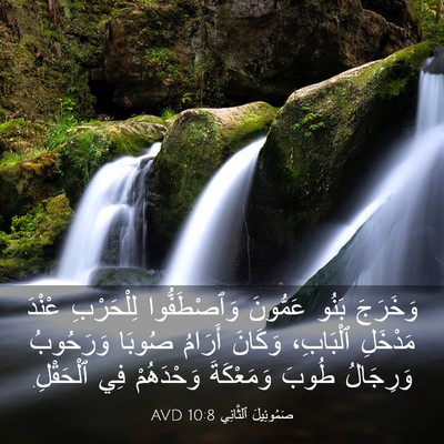 Picture 03 - صَمُوئِيلَ ٱلثَّانِي 10:8 AVD - وَخَرَجَ بَنُو عَمُّونَ - Bible Verse Picture