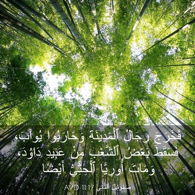Picture 03 - صَمُوئِيلَ ٱلثَّانِي 11:17 AVD - فَخَرَجَ رِجَالُ - Bible Verse Picture