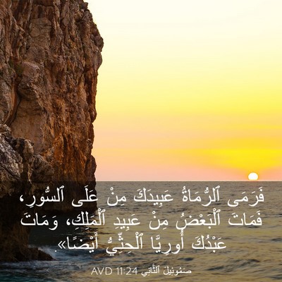 Picture 03 - صَمُوئِيلَ ٱلثَّانِي 11:24 AVD - فَرَمَى ٱلرُّمَاةُ - Bible Verse Picture