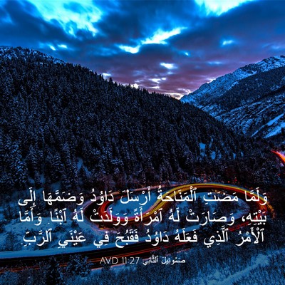 Picture 03 - صَمُوئِيلَ ٱلثَّانِي 11:27 AVD - وَلَمَّا مَضَتِ - Bible Verse Picture