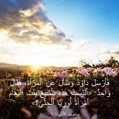 Picture 03 - صَمُوئِيلَ ٱلثَّانِي 11:3 AVD - فَأَرْسَلَ دَاوُدُ - Bible Verse Picture