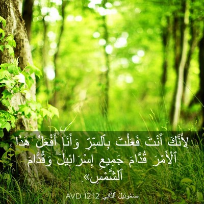 Picture 03 - صَمُوئِيلَ ٱلثَّانِي 12:12 AVD - لِأَنَّكَ أَنْتَ فَعَلْتَ - Bible Verse Picture