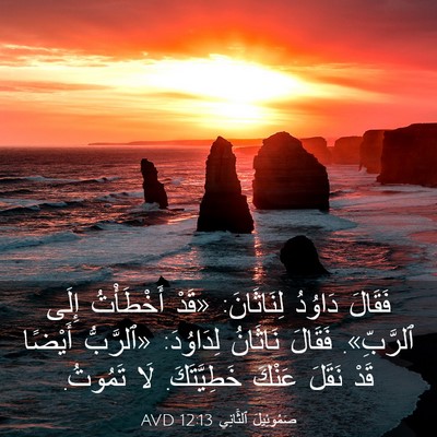 Picture 03 - صَمُوئِيلَ ٱلثَّانِي 12:13 AVD - فَقَالَ دَاوُدُ - Bible Verse Picture
