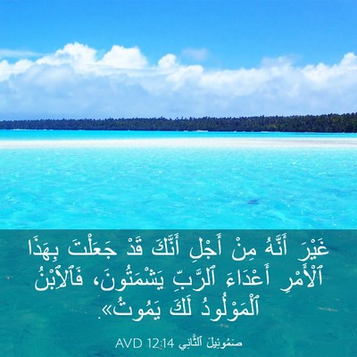 Picture 03 - صَمُوئِيلَ ٱلثَّانِي 12:14 AVD - غَيْرَ أَنَّهُ مِنْ أَجْلِ - Bible Verse Picture