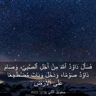 Picture 03 - صَمُوئِيلَ ٱلثَّانِي 12:16 AVD - فَسَأَلَ دَاوُدُ ٱللهَ - Bible Verse Picture