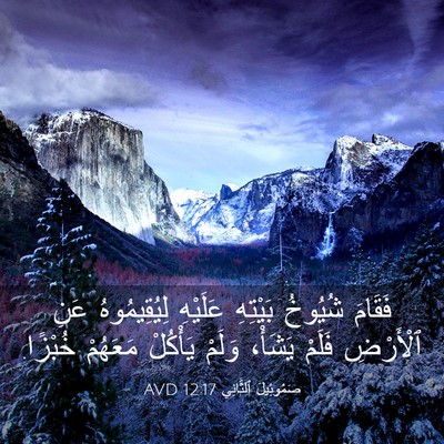 Picture 03 - صَمُوئِيلَ ٱلثَّانِي 12:17 AVD - فَقَامَ شُيُوخُ بَيْتِهِ - Bible Verse Picture