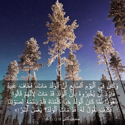 Picture 03 - صَمُوئِيلَ ٱلثَّانِي 12:18 AVD - وَكَانَ فِي ٱلْيَوْمِ - Bible Verse Picture