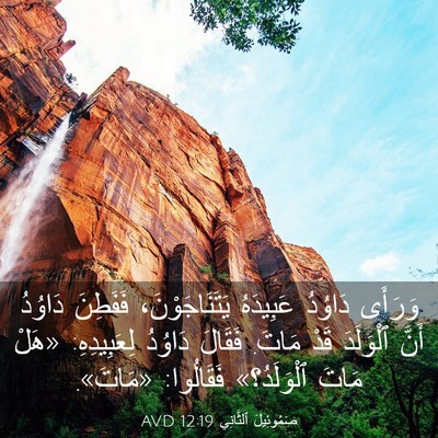 Picture 03 - صَمُوئِيلَ ٱلثَّانِي 12:19 AVD - وَرَأَى دَاوُدُ عَبِيدَهُ - Bible Verse Picture