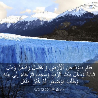 Picture 03 - صَمُوئِيلَ ٱلثَّانِي 12:20 AVD - فَقَامَ دَاوُدُ عَنِ - Bible Verse Picture