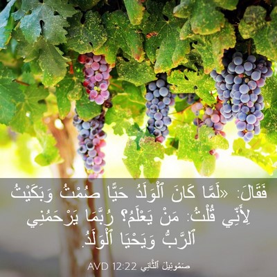 Picture 03 - صَمُوئِيلَ ٱلثَّانِي 12:22 AVD - فَقَالَ: «لَمَّا كَانَ - Bible Verse Picture