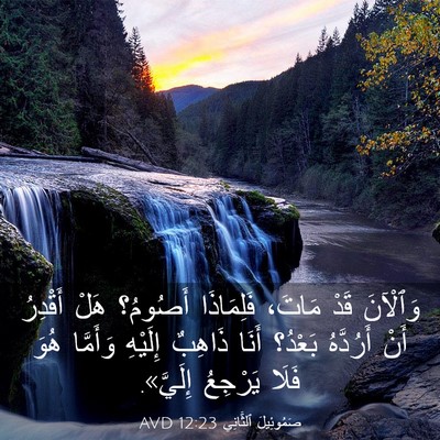 Picture 03 - صَمُوئِيلَ ٱلثَّانِي 12:23 AVD - وَٱلْآنَ قَدْ مَاتَ، - Bible Verse Picture