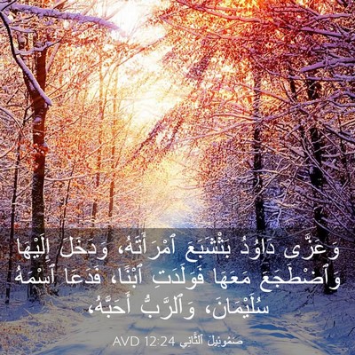 Picture 03 - صَمُوئِيلَ ٱلثَّانِي 12:24 AVD - وَعَزَّى دَاوُدُ - Bible Verse Picture