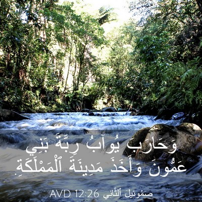Picture 03 - صَمُوئِيلَ ٱلثَّانِي 12:26 AVD - وَحَارَبَ يُوآبُ رِبَّةَ - Bible Verse Picture