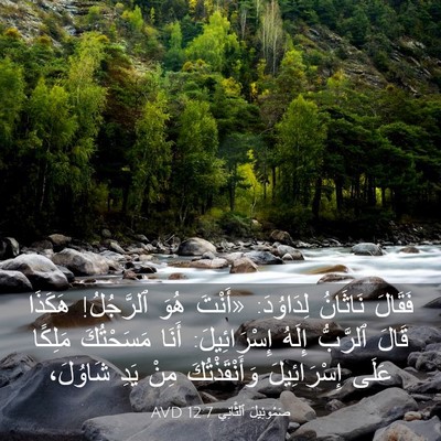 Picture 03 - صَمُوئِيلَ ٱلثَّانِي 12:7 AVD - فَقَالَ نَاثَانُ - Bible Verse Picture