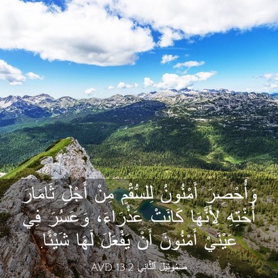 Picture 03 - صَمُوئِيلَ ٱلثَّانِي 13:2 AVD - وَأُحْصِرَ أَمْنُونُ - Bible Verse Picture