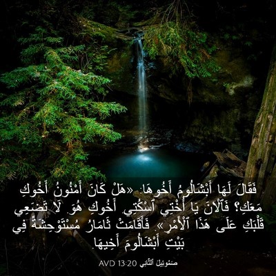 Picture 03 - صَمُوئِيلَ ٱلثَّانِي 13:20 AVD - فَقَالَ لَهَا - Bible Verse Picture
