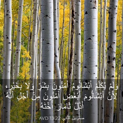 Picture 03 - صَمُوئِيلَ ٱلثَّانِي 13:22 AVD - وَلَمْ يُكَلِّمْ - Bible Verse Picture