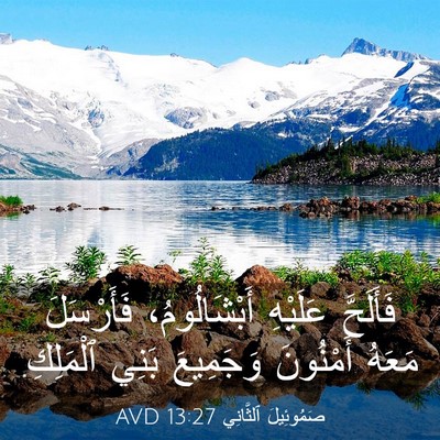 Picture 03 - صَمُوئِيلَ ٱلثَّانِي 13:27 AVD - فَأَلَحَّ عَلَيْهِ - Bible Verse Picture