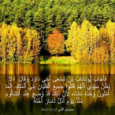 Picture 03 - صَمُوئِيلَ ٱلثَّانِي 13:32 AVD - فَأَجَابَ يُونَادَابُ - Bible Verse Picture
