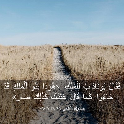 Picture 03 - صَمُوئِيلَ ٱلثَّانِي 13:35 AVD - فَقَالَ يُونَادَابُ - Bible Verse Picture