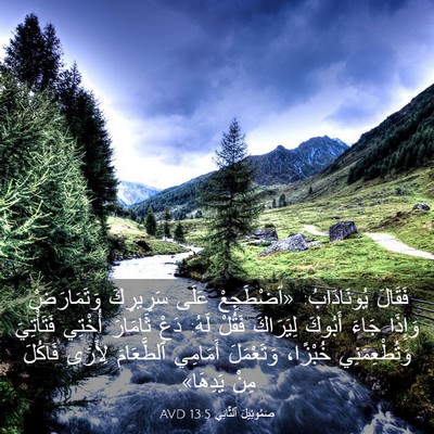Picture 03 - صَمُوئِيلَ ٱلثَّانِي 13:5 AVD - فَقَالَ يُونَادَابُ: - Bible Verse Picture