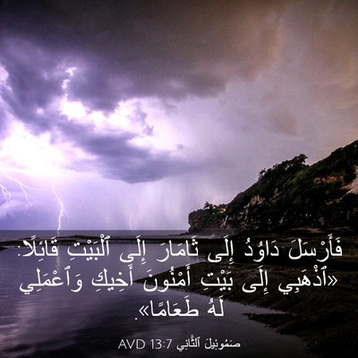 Picture 03 - صَمُوئِيلَ ٱلثَّانِي 13:7 AVD - فَأَرْسَلَ دَاوُدُ إِلَى - Bible Verse Picture