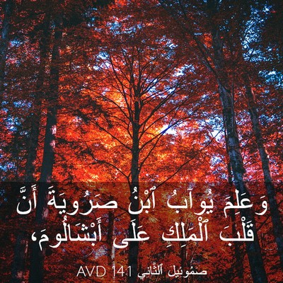Picture 03 - صَمُوئِيلَ ٱلثَّانِي 14:1 AVD - وَعَلِمَ يُوآبُ ٱبْنُ - Bible Verse Picture