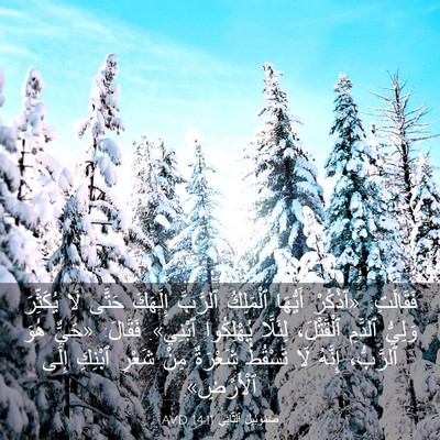 Picture 03 - صَمُوئِيلَ ٱلثَّانِي 14:11 AVD - فَقَالَتِ: «ٱذْكُرْ - Bible Verse Picture