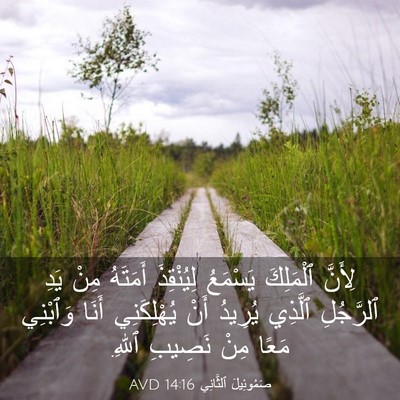 Picture 03 - صَمُوئِيلَ ٱلثَّانِي 14:16 AVD - لِأَنَّ ٱلْمَلِكَ - Bible Verse Picture