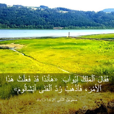 Picture 03 - صَمُوئِيلَ ٱلثَّانِي 14:21 AVD - فَقَالَ ٱلْمَلِكُ - Bible Verse Picture