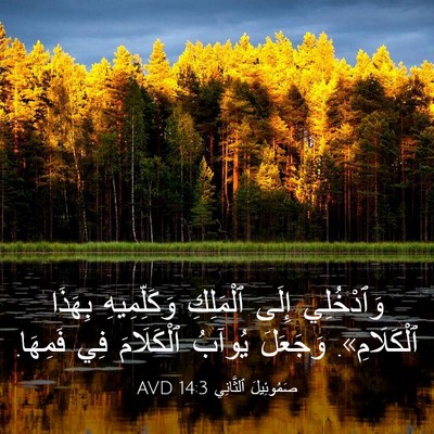 Picture 03 - صَمُوئِيلَ ٱلثَّانِي 14:3 AVD - وَٱدْخُلِي إِلَى - Bible Verse Picture