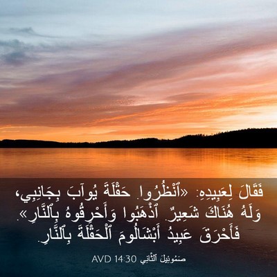 Picture 03 - صَمُوئِيلَ ٱلثَّانِي 14:30 AVD - فَقَالَ لِعَبِيدِهِ: - Bible Verse Picture