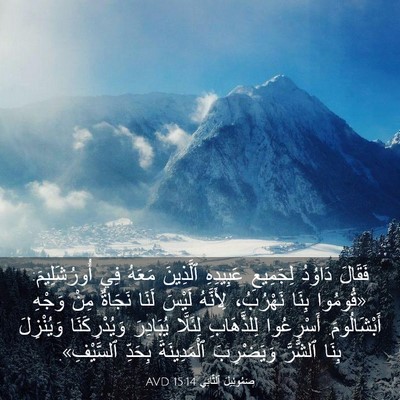 Picture 03 - صَمُوئِيلَ ٱلثَّانِي 15:14 AVD - فَقَالَ دَاوُدُ لِجَمِيعِ - Bible Verse Picture