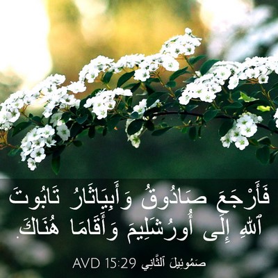 Picture 03 - صَمُوئِيلَ ٱلثَّانِي 15:29 AVD - فَأَرْجَعَ صَادُوقُ - Bible Verse Picture