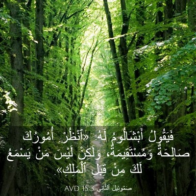 Picture 03 - صَمُوئِيلَ ٱلثَّانِي 15:3 AVD - فَيَقُولُ أَبْشَالُومُ - Bible Verse Picture