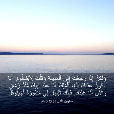 Picture 03 - صَمُوئِيلَ ٱلثَّانِي 15:34 AVD - وَلَكِنْ إِذَا رَجَعْتَ - Bible Verse Picture