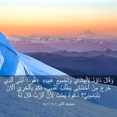 Picture 03 - صَمُوئِيلَ ٱلثَّانِي 16:11 AVD - وَقَالَ دَاوُدُ - Bible Verse Picture