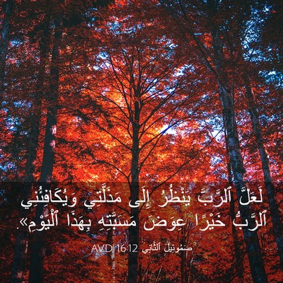 Picture 03 - صَمُوئِيلَ ٱلثَّانِي 16:12 AVD - لَعَلَّ ٱلرَّبَّ يَنْظُرُ - Bible Verse Picture