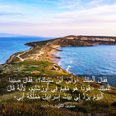 Picture 03 - صَمُوئِيلَ ٱلثَّانِي 16:3 AVD - فَقَالَ ٱلْمَلِكُ: - Bible Verse Picture