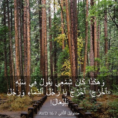 Picture 03 - صَمُوئِيلَ ٱلثَّانِي 16:7 AVD - وَهَكَذَا كَانَ شِمْعِي - Bible Verse Picture
