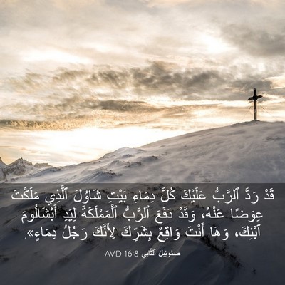 Picture 03 - صَمُوئِيلَ ٱلثَّانِي 16:8 AVD - قَدْ رَدَّ ٱلرَّبُّ - Bible Verse Picture