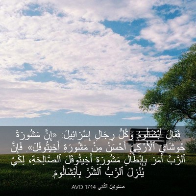 Picture 03 - صَمُوئِيلَ ٱلثَّانِي 17:14 AVD - فَقَالَ أَبْشَالُومُ - Bible Verse Picture