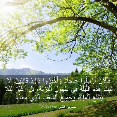 Picture 03 - صَمُوئِيلَ ٱلثَّانِي 17:16 AVD - فَٱلْآنَ أَرْسِلُوا - Bible Verse Picture