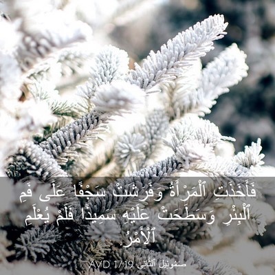 Picture 03 - صَمُوئِيلَ ٱلثَّانِي 17:19 AVD - فَأَخَذَتِ ٱلْمَرْأَةُ - Bible Verse Picture