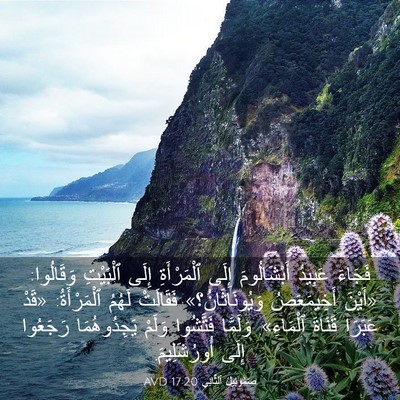 Picture 03 - صَمُوئِيلَ ٱلثَّانِي 17:20 AVD - فَجَاءَ عَبِيدُ - Bible Verse Picture