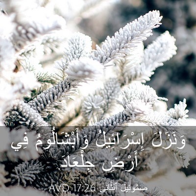 Picture 03 - صَمُوئِيلَ ٱلثَّانِي 17:26 AVD - وَنَزَلَ إِسْرَائِيلُ - Bible Verse Picture