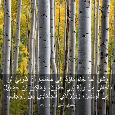 Picture 03 - صَمُوئِيلَ ٱلثَّانِي 17:27 AVD - وَكَانَ لَمَّا جَاءَ - Bible Verse Picture