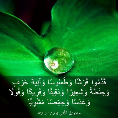 Picture 03 - صَمُوئِيلَ ٱلثَّانِي 17:28 AVD - قَدَّمُوا فَرْشًا - Bible Verse Picture