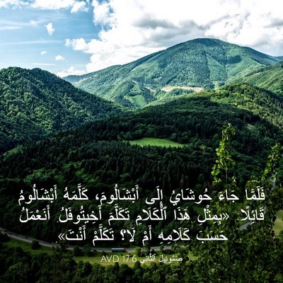 Picture 03 - صَمُوئِيلَ ٱلثَّانِي 17:6 AVD - فَلَمَّا جَاءَ حُوشَايُ - Bible Verse Picture